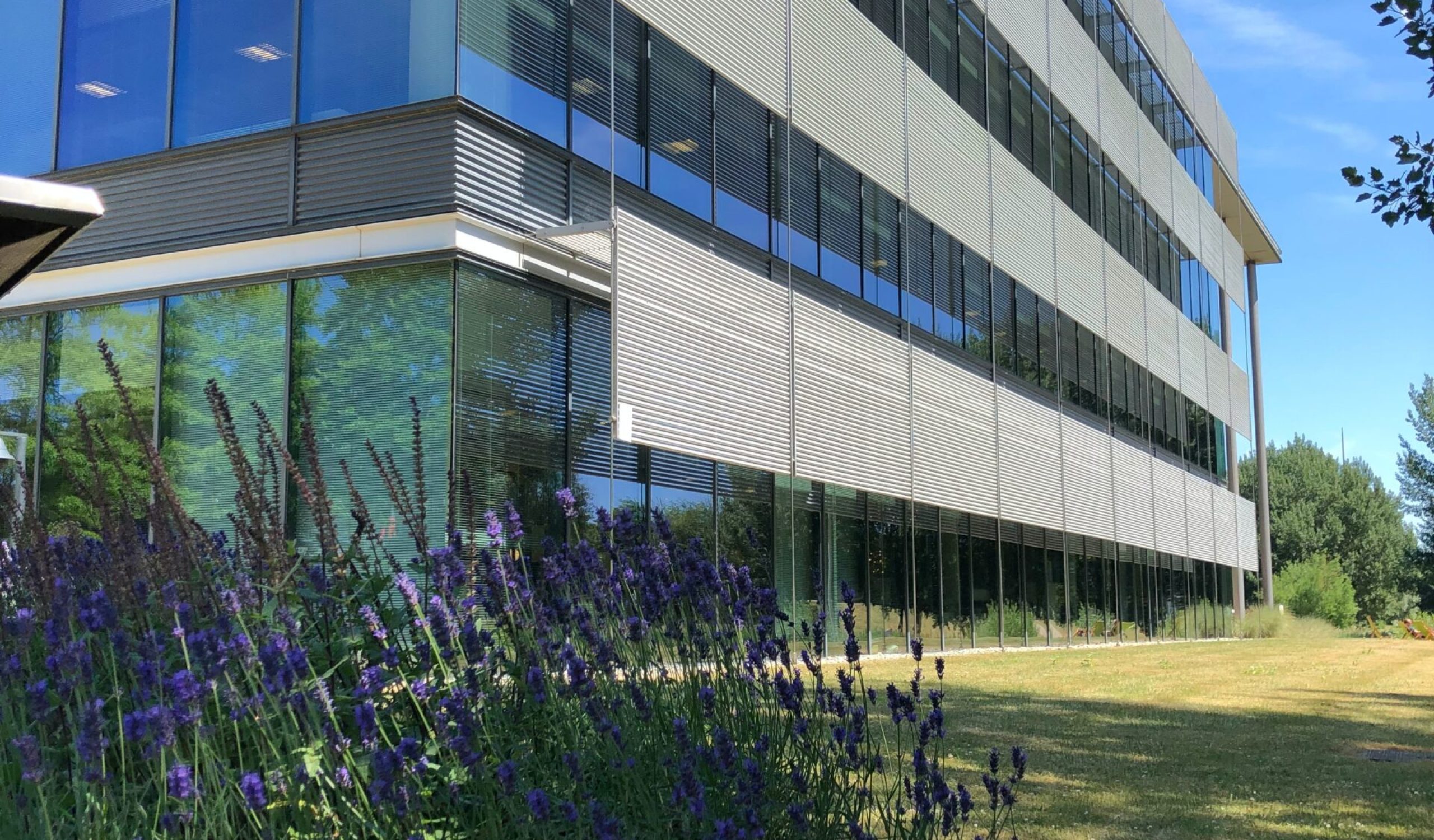 Corporate Income Tax Return